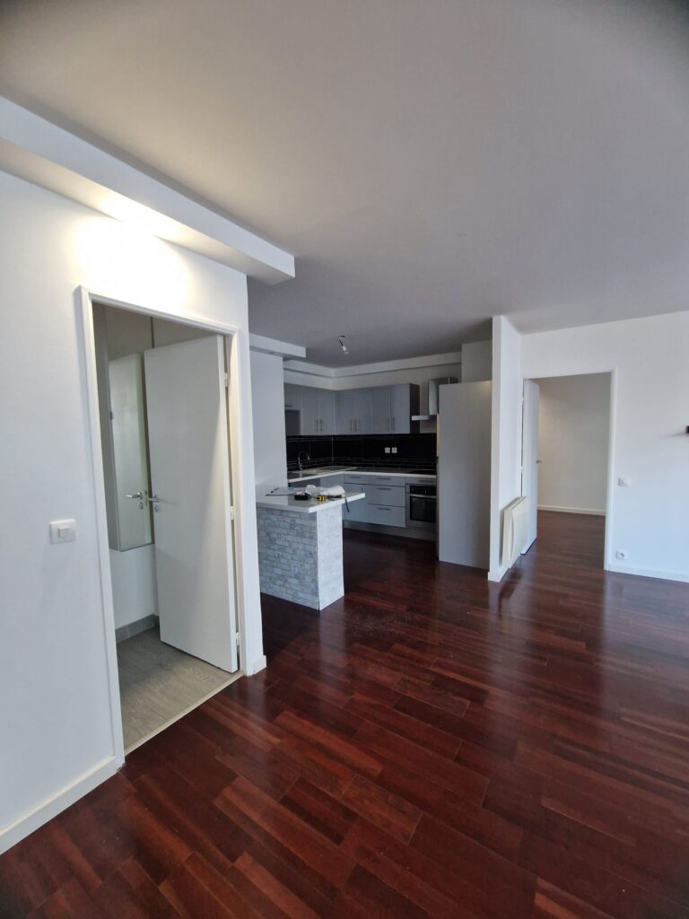 Rénovation bercy Paris-portes vitrées sur mesure- cuisine schmidt- itsy bitsy tidy